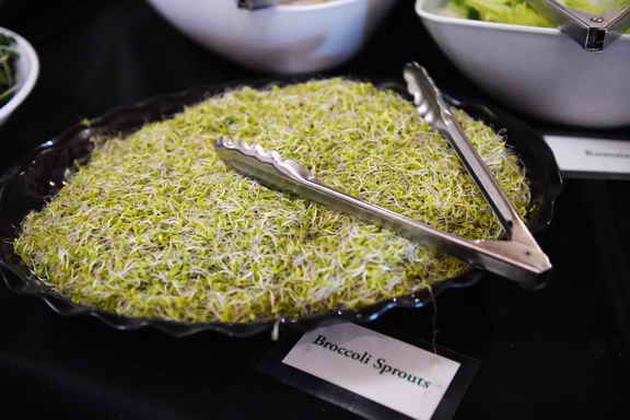 Hippocrates-1-15-17-3504-DDeRosaPhoto