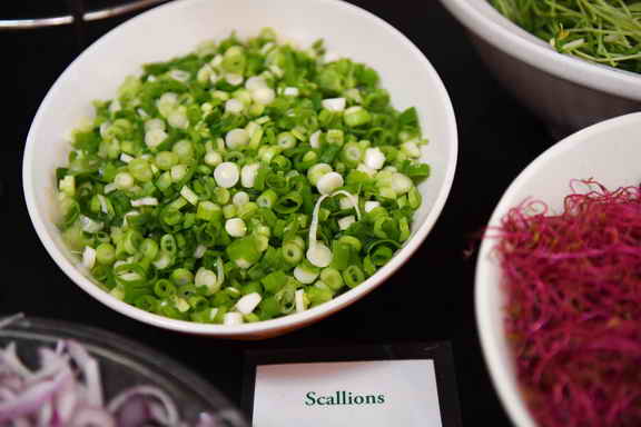 Hippocrates-1-15-17-3510-DDeRosaPhoto