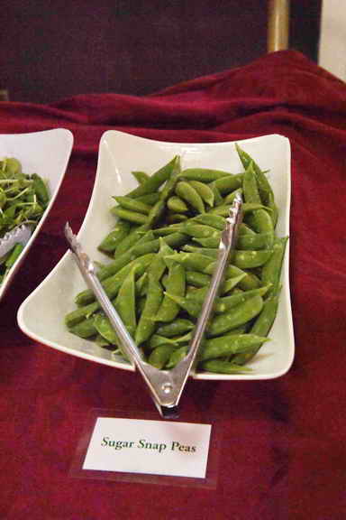 Hippocrates-1-15-17-3520-DDeRosaPhoto