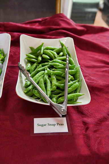 Hippocrates-1-15-17-3535-DDeRosaPhoto