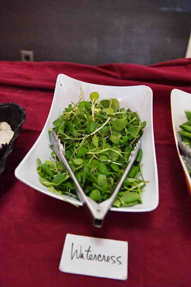 Hippocrates-1-15-17-3536-DDeRosaPhoto