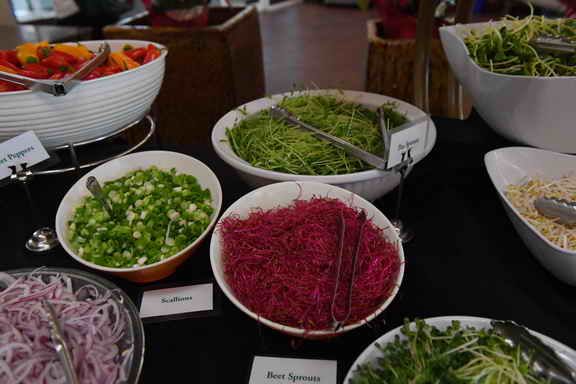 Hippocrates-1-15-17-3554-DDeRosaPhoto