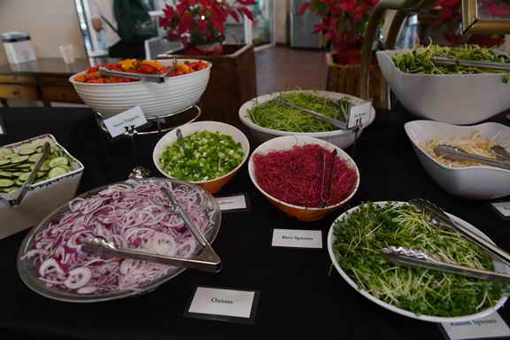 Hippocrates-1-15-17-3555-DDeRosaPhoto