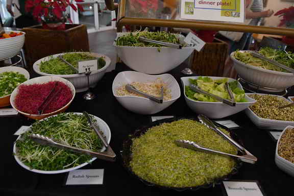 Hippocrates-1-15-17-3556-DDeRosaPhoto