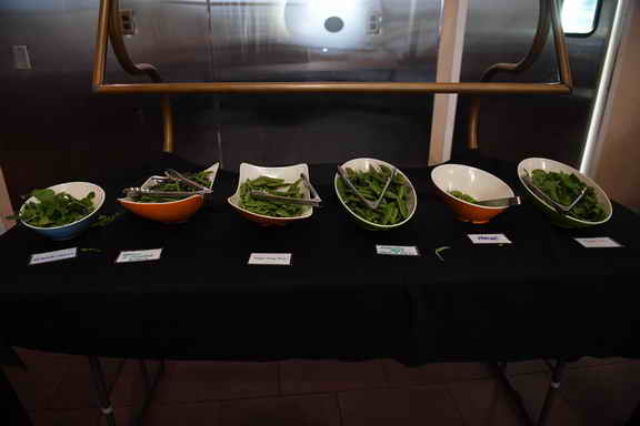 Hippocrates-2017-5500-DDeRosaPhoto