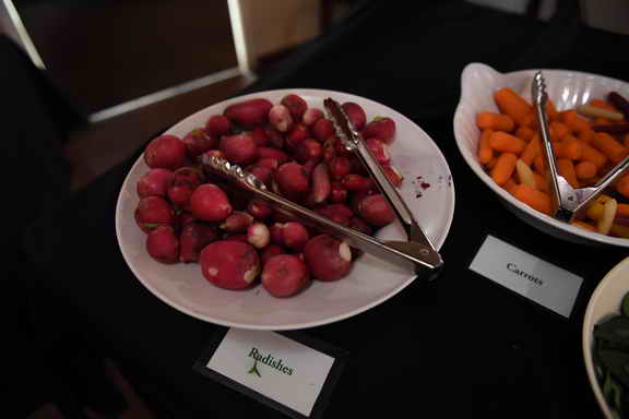 Hippocrates-2017-5501-DDeRosaPhoto