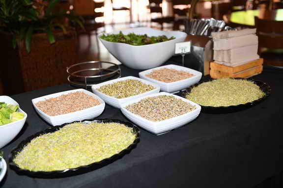 Hippocrates-2017-6712-DDeRosaPhoto