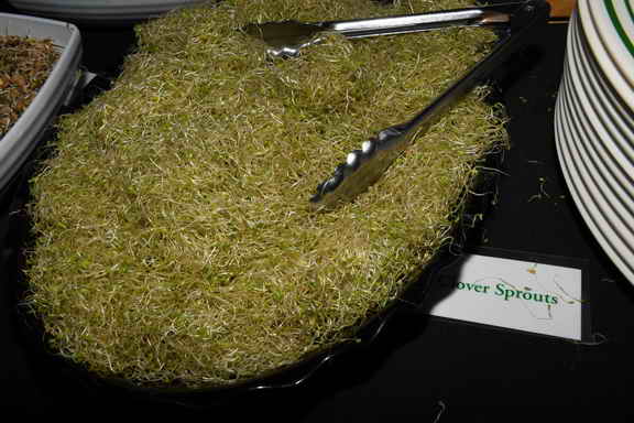 Hippocrates-3-20-17-9825-DDeRosaPhoto