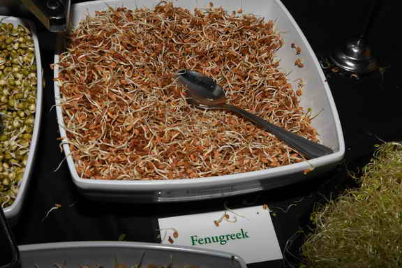 Hippocrates-3-20-17-9830-DDeRosaPhoto