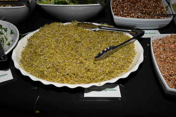 Hippocrates-3-20-17-9832-DDeRosaPhoto