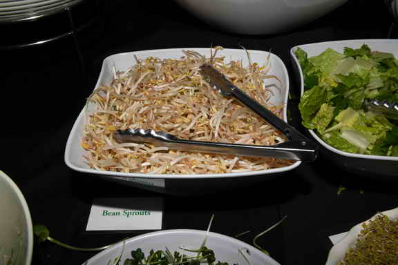 Hippocrates-3-20-17-9833-DDeRosaPhoto