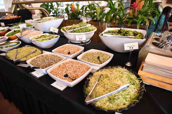 Hippocrates-4-6-17-3169-DDeRosaPhoto