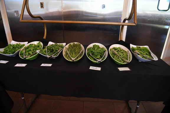 Hippocrates-4-6-17-3175-DDeRosaPhoto