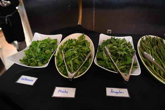 Hippocrates-4-6-17-3176-DDeRosaPhoto