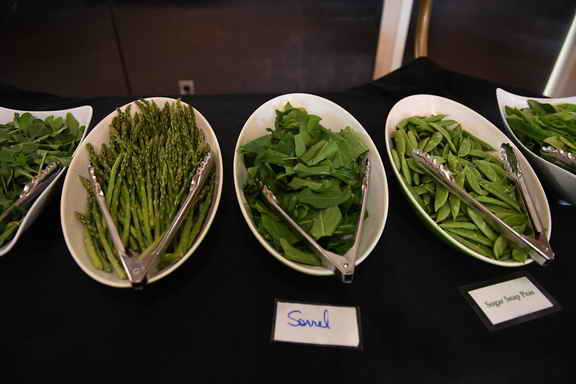 Hippocrates-4-6-17-3177-DDeRosaPhoto