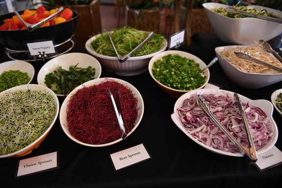 Hippocrates-4-6-17-3181-DDeRosaPhoto