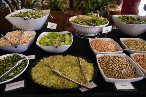 Hippocrates-4-6-17-3183-DDeRosaPhoto