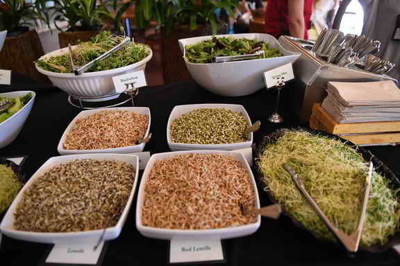 Hippocrates-4-6-17-3184-DDeRosaPhoto