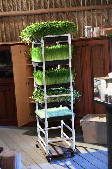 Hippocrates-1-20-17-3717-DDeRosaPhoto