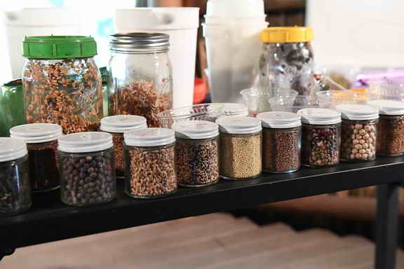 Hippocrates-1-20-17-3719-DDeRosaPhoto