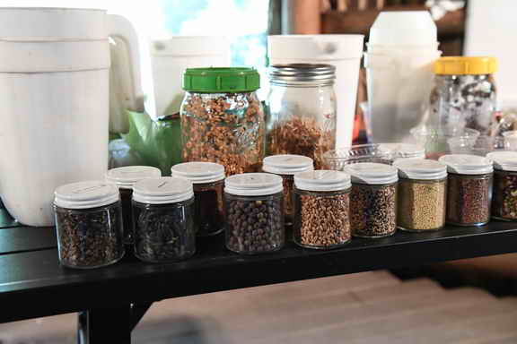 Hippocrates-1-20-17-3720-DDeRosaPhoto