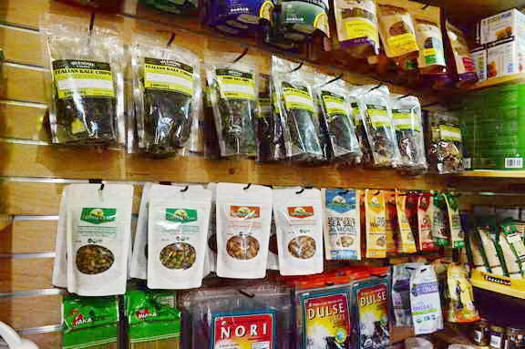 Hippocrates-1-15-17-7157-DDeRosaPhoto