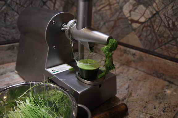 Hippocrates-1-15-17-3676-DDeRosaPhoto