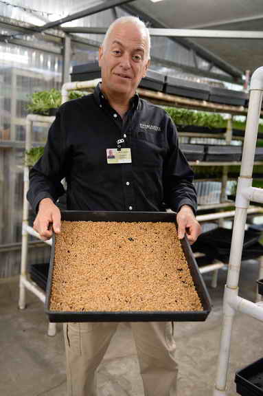 Hippocrates-1-15-17-7109-DDeRosaPhoto