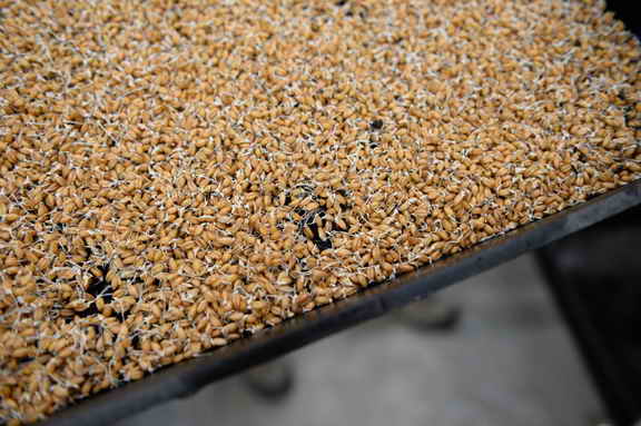 Hippocrates-1-15-17-7114-DDeRosaPhoto