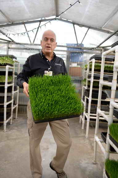 Hippocrates-1-15-17-7130-DDeRosaPhoto