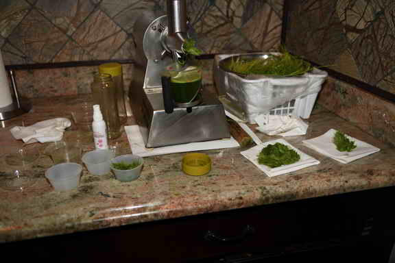 Hippocrates-2017-5568-DDeRosaPhoto