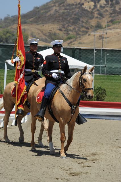 DSEL-62908-752-DeRosaPhoto