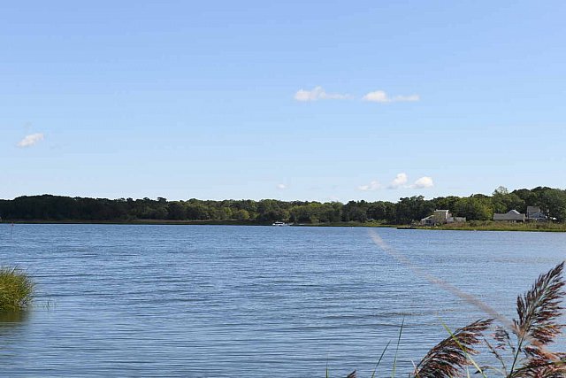 IPA-1040 FLANDERS-9-3-21-2306-DDeRosaPhoto