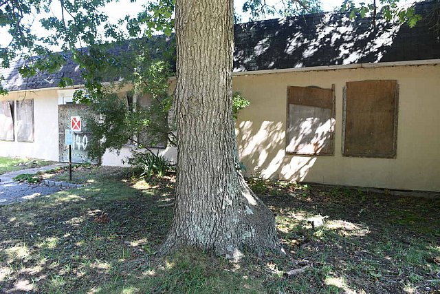 IPA-1140 FLANDERS-9-3-21-2273-DDeRosaPhoto