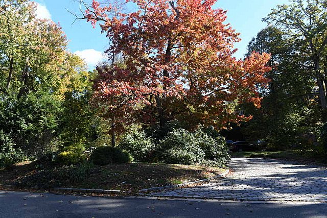 11 Evans-11-01-21-6016-DDeRosaPhoto