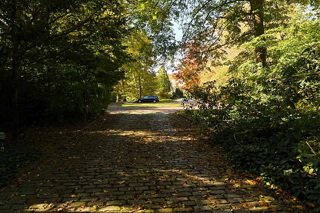 11 Evans-11-01-21-6024-DDeRosaPhoto