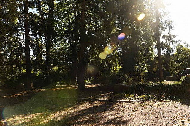 11 Evans-11-01-21-6028-DDeRosaPhoto