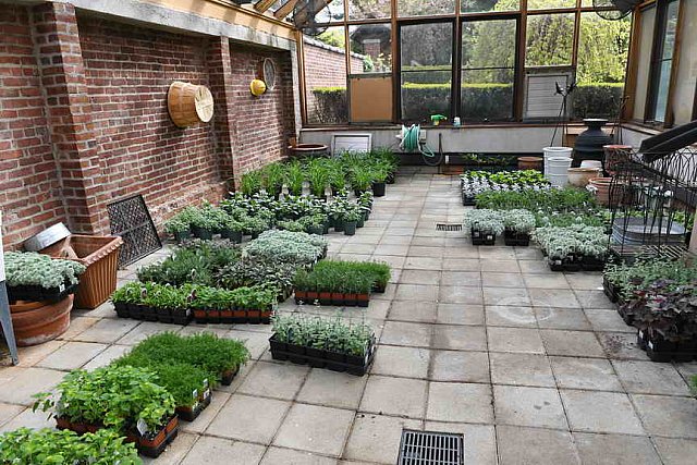 Gardens-Greenhouse-IPE-LloydHarbor-5-10-19-7951-DDeRosaPhoto