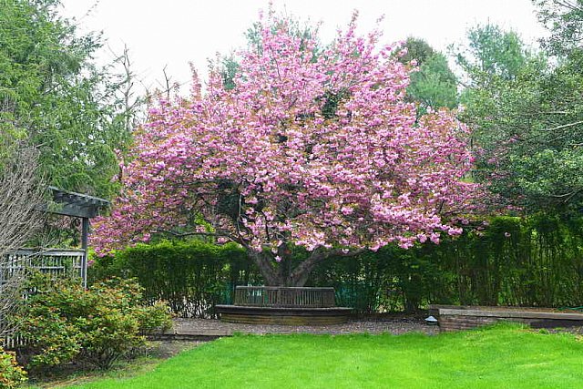 Gardens-IPE-LloydHarbor-5-10-19-7821-DDeRosaPhoto