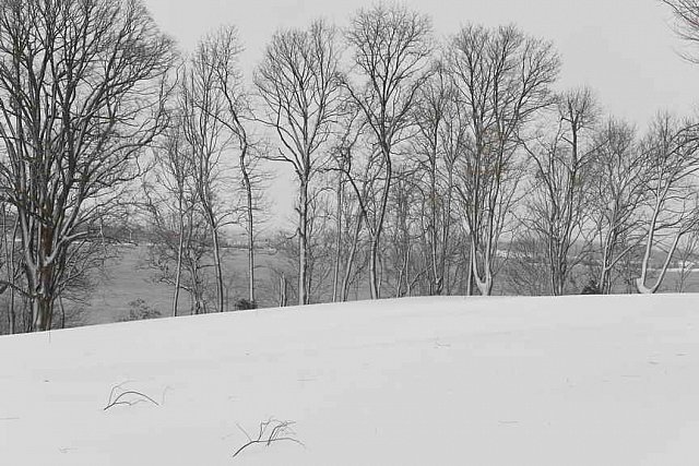 31 Fort Hill-12-17-2020-Snowstorm--0080-DDeRosaPhoto
