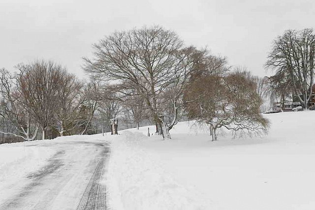 31 Fort Hill-12-17-2020-Snowstorm--0091-DDeRosaPhoto