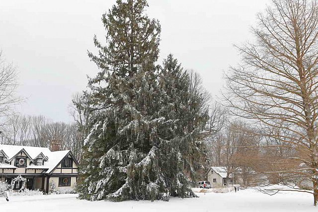 31 Fort Hill-12-17-2020-Snowstorm--0139-DDeRosaPhoto