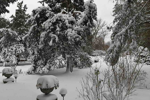 31 Fort Hill-12-17-2020-Snowstorm--0192-DDeRosaPhoto