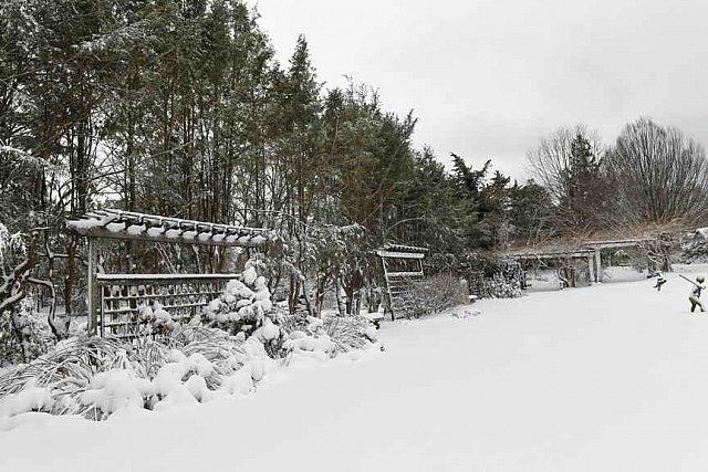 31 Fort Hill-12-17-2020-Snowstorm--0201-DDeRosaPhoto