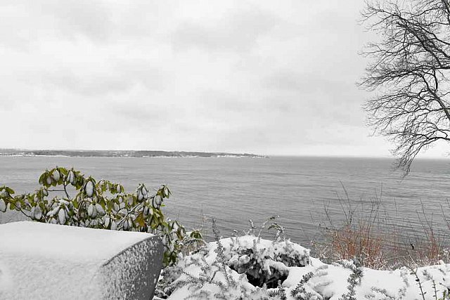 31 Fort Hill-12-17-2020-Snowstorm--0235-DDeRosaPhoto