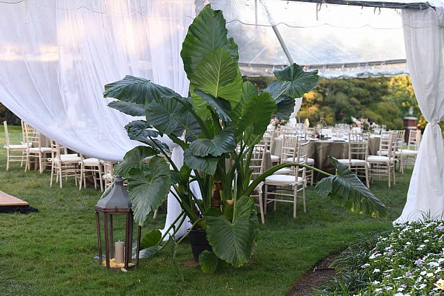 WEDDING 9-18-21-3381-DDEROSAPHOTO