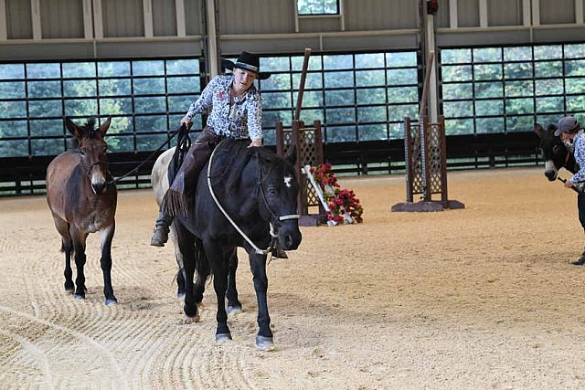 MUSTANG-10-11-21-5408-DDeRosaPhoto