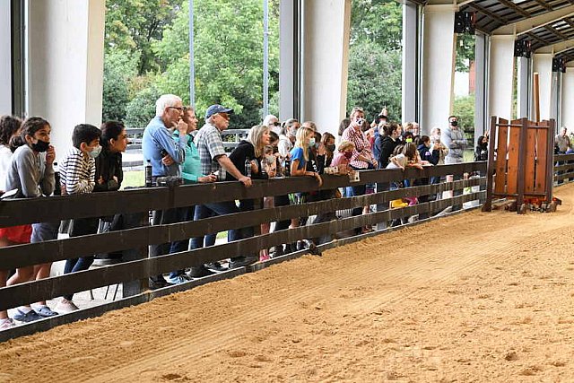 MUSTANG-10-11-21-5439-DDeRosaPhoto