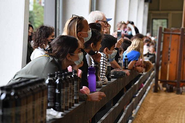 MUSTANG-10-11-21-5481-DDeRosaPhoto