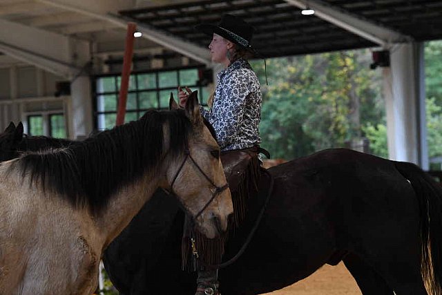 MUSTANG-10-11-21-5483-DDeRosaPhoto